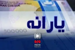 راز بسته یارانه ای دولت فاش شد: میلیون‌ها نفر شوکه می‌شوند!