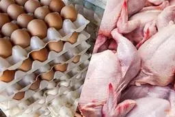 رقابت مرگبار مرغداران با حذف ارز ترجیحی