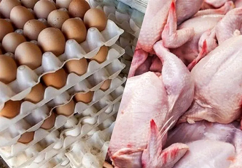 رقابت مرگبار مرغداران با حذف ارز ترجیحی