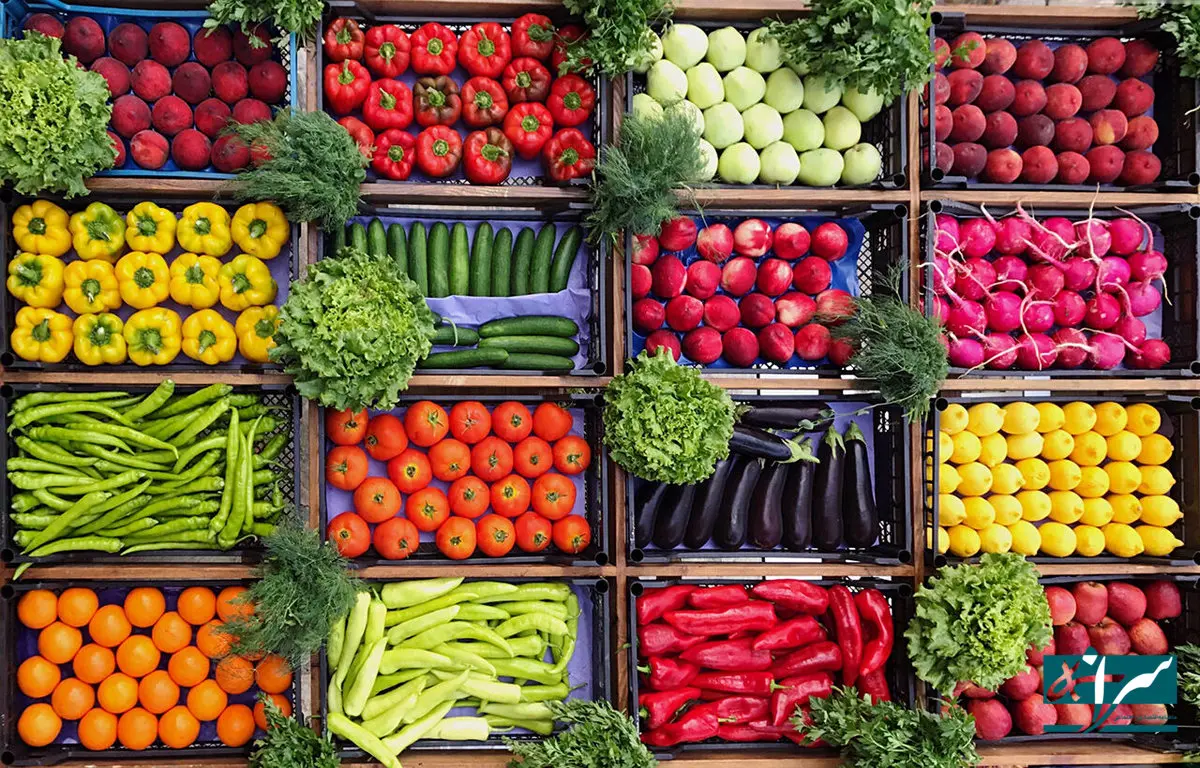 قیمت انواع میوه و تره‌ بار در میادین / مردم از ذخایر خانگی میوه و تره‌بار پرهیز کنند