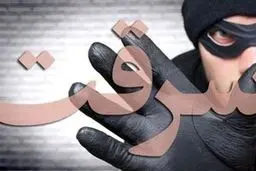 لحظه سرقت خشن در شرق تهران