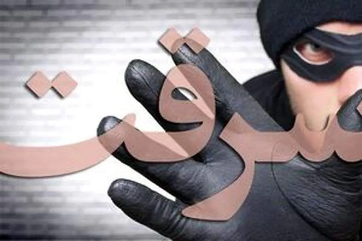لحظه سرقت خشن در شرق تهران