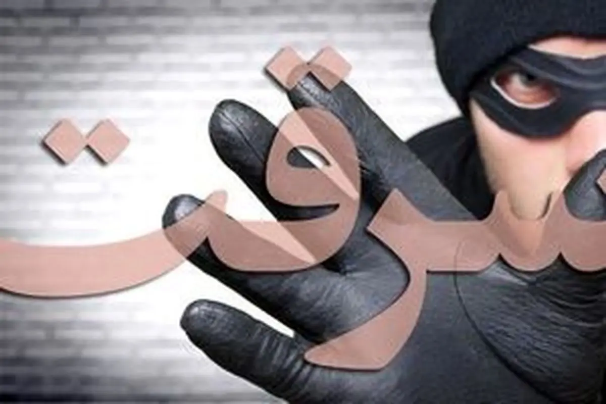 لحظه سرقت خشن در شرق تهران
