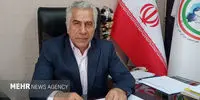 نکته‌ای شوکه‌کننده از پشت پرده المپیک ناشنوایان: نیکولعل آزاد از رتبه پنجم تا هفتم پرده برداشت!