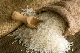 فاجعه در آبان ۱۴۰۴: قیمت برنج کمر ملت را شکست!