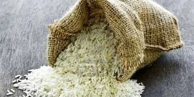 افشای دلیل اصلی گرانی سرسام‌آور برنج؛ سفره مردم در آستانه خالی شدن!