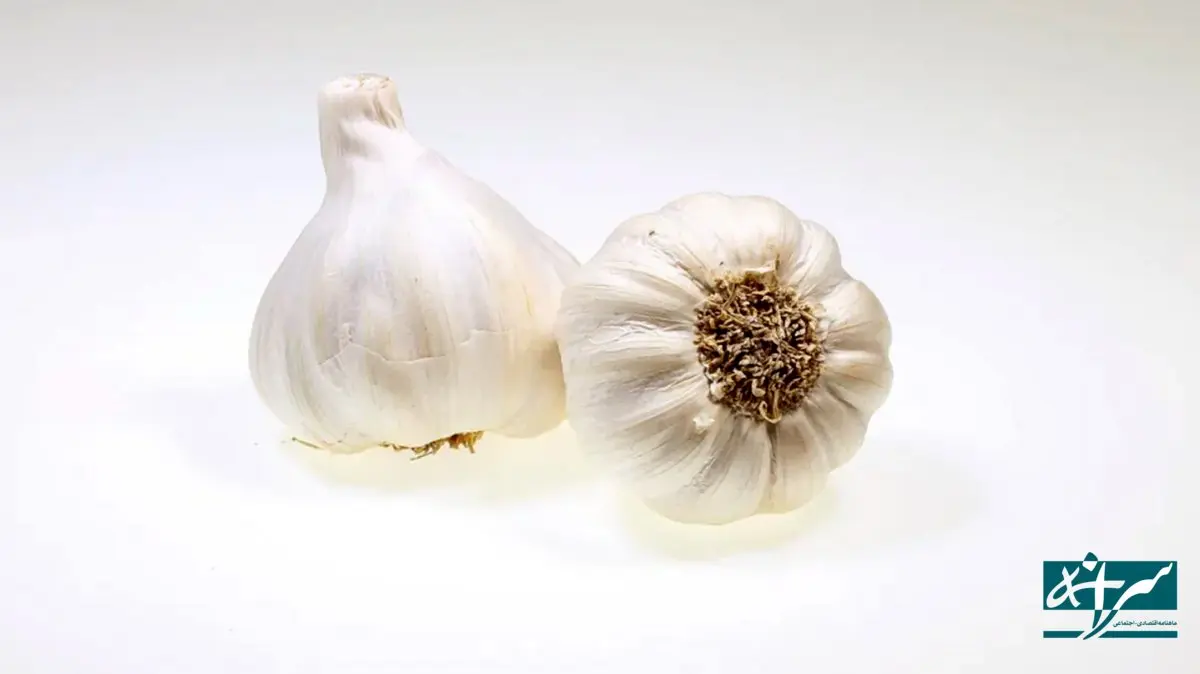 سیر از دسترس خارج شد!