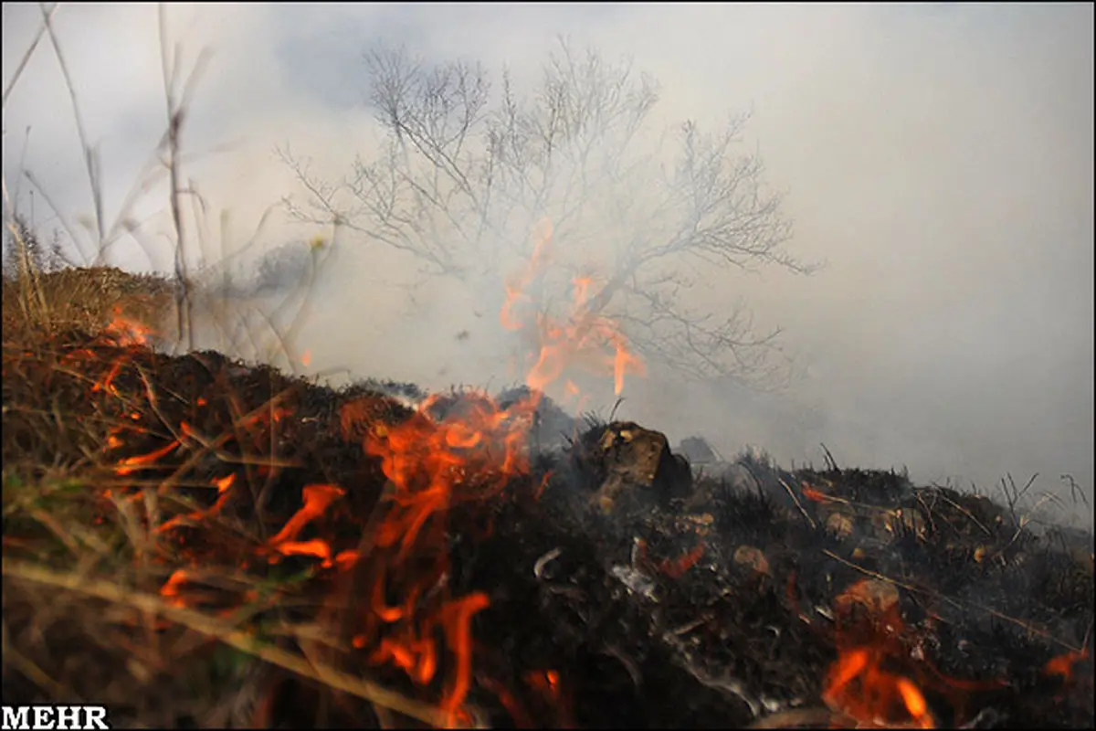 فاجعه الیت: نتایج هولناک آتش‌سوزی‌ها بالاخره فاش شد