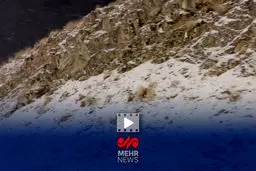 خطر در جاده چالوس: خبرنگار مهر از برف و یخبندان مهیب پرده برداشت!