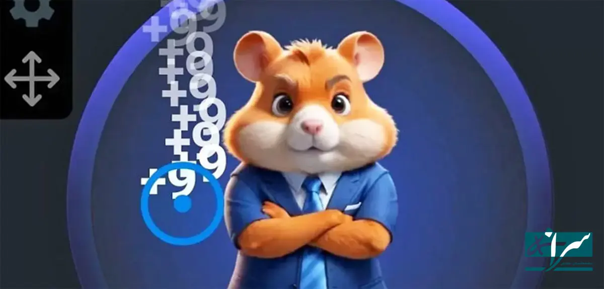 قیمت همستر آماده پرواز شد