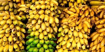 قاچاق قانونی با پوشش ملوانی: فساد سیستماتیک یا غفلت مسئولان؟