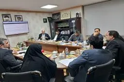 وزارت دادگستری پای کار تولید آمد؛ چه کسانی منتفع می‌شوند؟