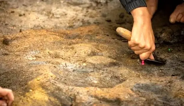 کشف یک موضوع عجیب درباره انسان های اولیه