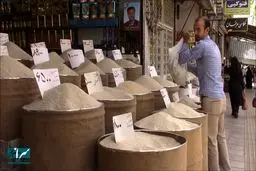 یک میلیون تن برنج گم شد!