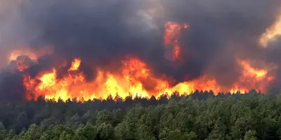 اولین واکنش خانم سخنگو به آتش‌سوزی الیت