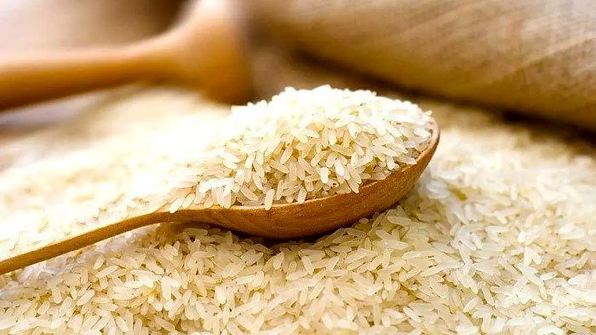 لاهوتی خواستار حذف ارز ترجیحی برای واردات برنج شد