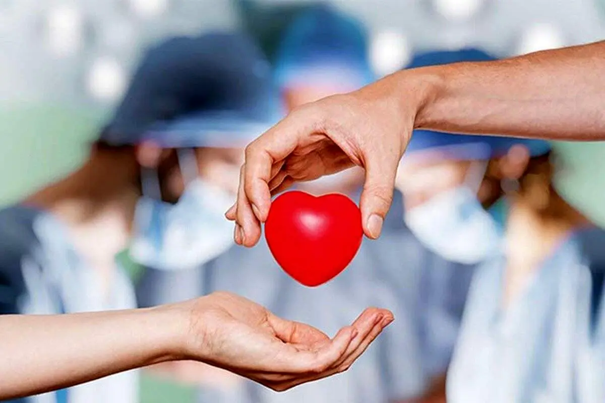 پرسپولیس بانوان؛ قهرمانانی که جان می‌بخشند!