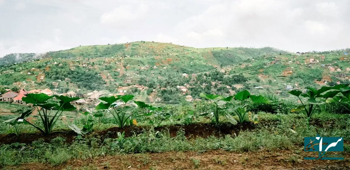 درخواست مهم یک کشور آفریقایی از ایران