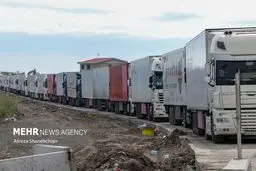 شوک ارزی: نوسازی ناوگان تجاری مُرد!