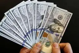 انتقال جنجالی ارز پتروشیمی به تالار دوم؛ زنگ خطر برای صنایع پایین‌دستی به صدا درآمد؟