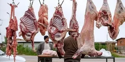 مرغ ارزان شد؟ قیمت باورنکردنی مرغ در ۲۱ آبان ۱۴۰۴!