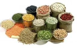 لوبیا چیتی به ۴۰۰ هزار تومان رسید