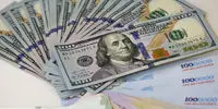 احتمال ریزش اساسی قیمت دلار وجود دارد
