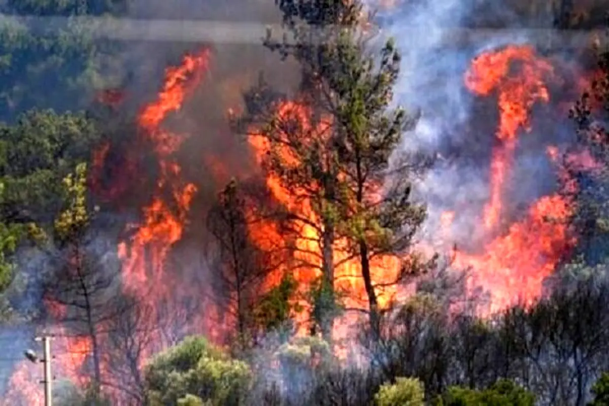 آتش‌سوزی‌ها زیر سر کیست؟/ راز افشاشده عامل انسانی!