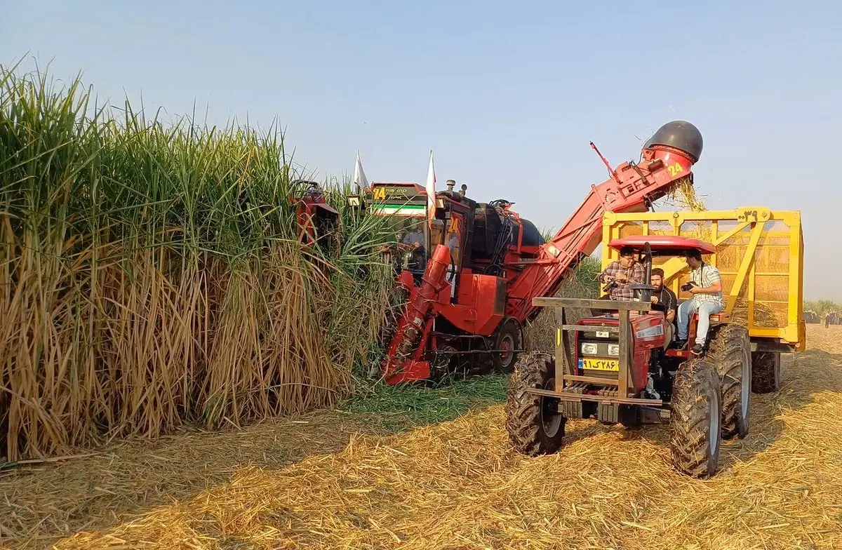 راز بحران آب در جنوب کشور فاش شد