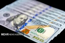 فوری/ هشدار: ادغام تالارها؛ آیا قیمت کالاها سر به فلک می‌کشد؟