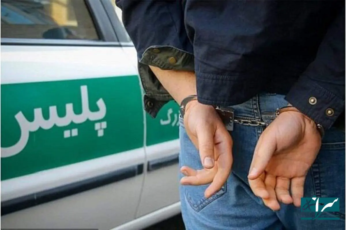 خط و نشان پلیس برای گنگسترهای اقتصادی