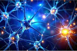 کشف یک زبان پنهان در مغز