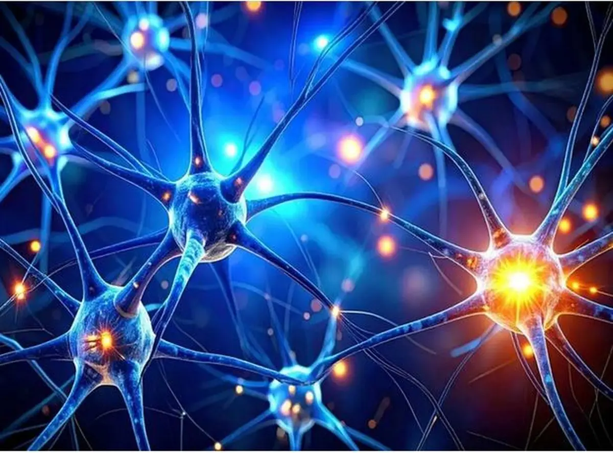 کشف یک زبان پنهان در مغز