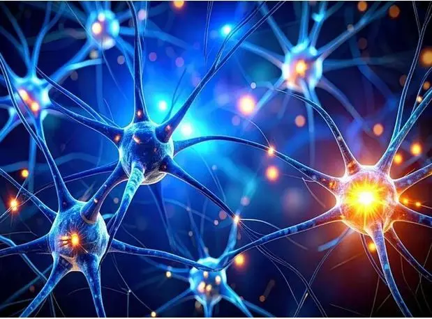 کشف یک زبان پنهان در مغز