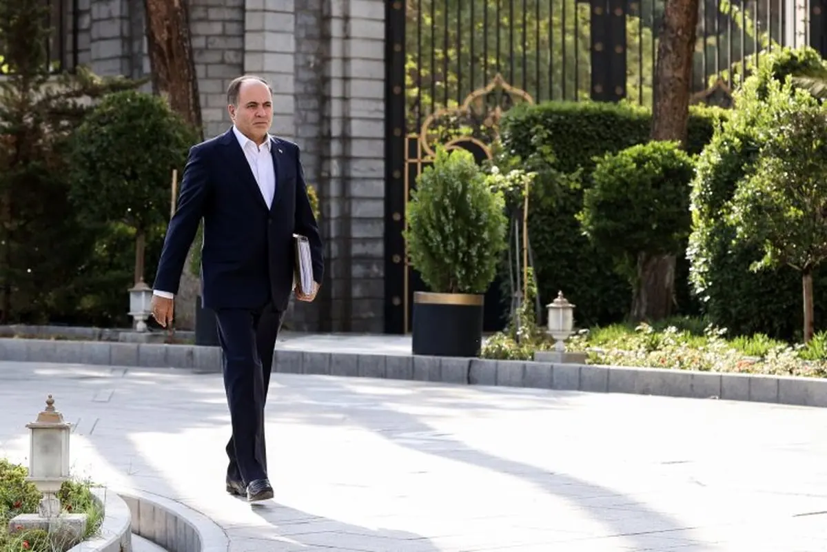 "نوری قزلجه: قیمت مرغ اصلاح شد! ادعای گرانی کذب محض است"