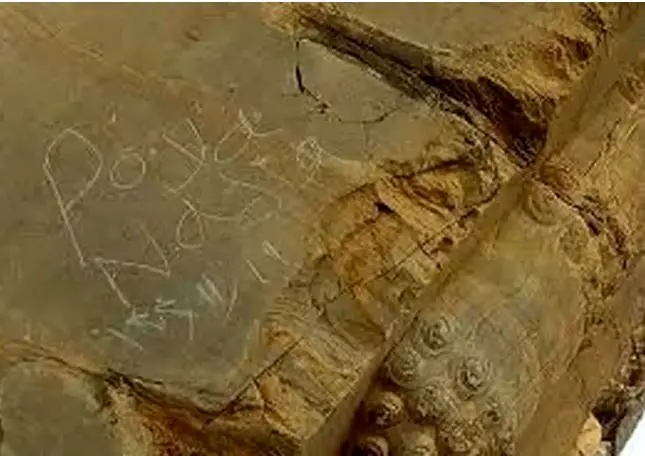 یادگاری‌ جنجالی از تخت جمشید پاک شد