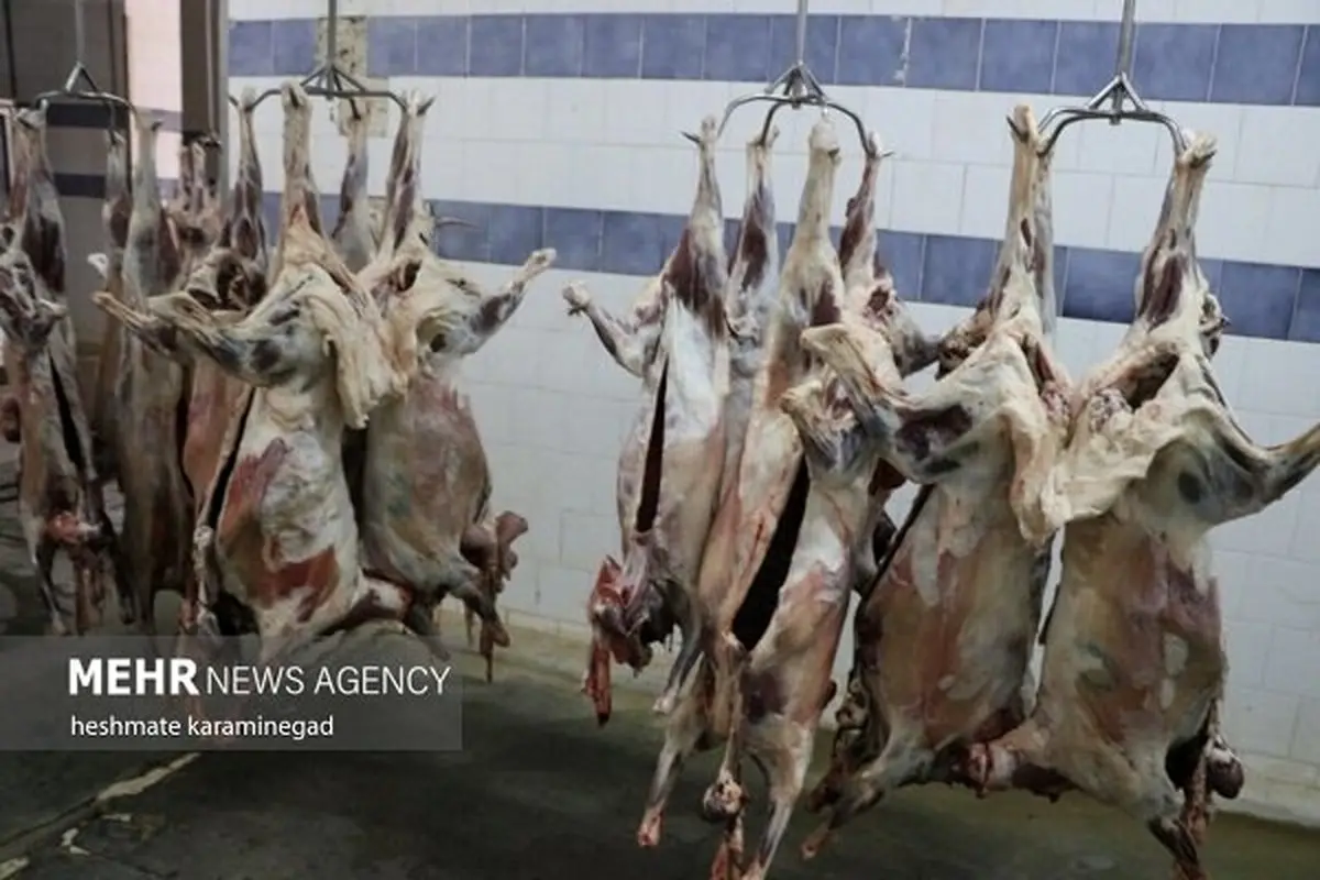 گوشت قرمز گران شد: حذف ارز ترجیحی شوک جدید به سفره مردم