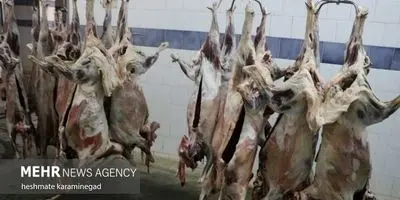 یک میلیارد درخت با پساب؛ فاجعه زیست‌محیطی در راه است؟