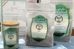 شوک به بازار کشاورزی! منصفی راد از تولید «کود گرانوله» معجزه‌آسا در سمنان پرده برداشت