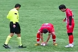 احیای قلبی مرغ دریایی؛ وسط مسابقه فوتبال! 