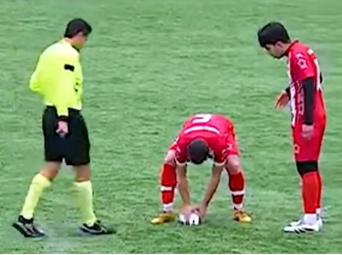 احیای قلبی مرغ دریایی؛ وسط مسابقه فوتبال! 