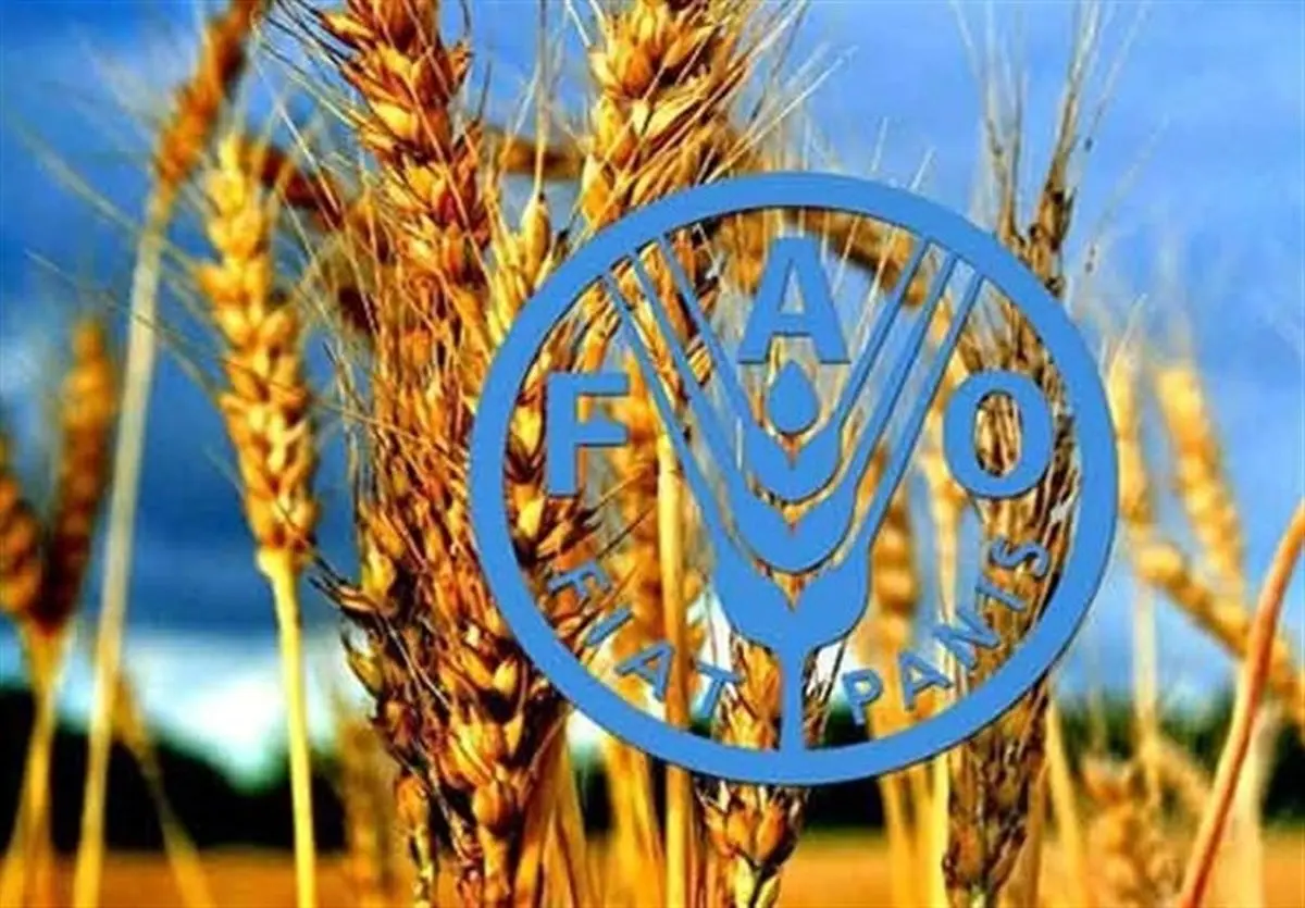 فائو همه را انگشت به دهان گذاشت: راه حل قحطی در قلب فناوری هسته‌ای است!