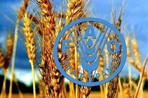فائو همه را انگشت به دهان گذاشت: راه حل قحطی در قلب فناوری هسته‌ای است!