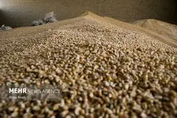 بمب خبری: تحقیق و تفحص، شریان فساد در زنجیره تامین نهاده‌ها را قطع و راه اصلاحات را باز می‌کند!