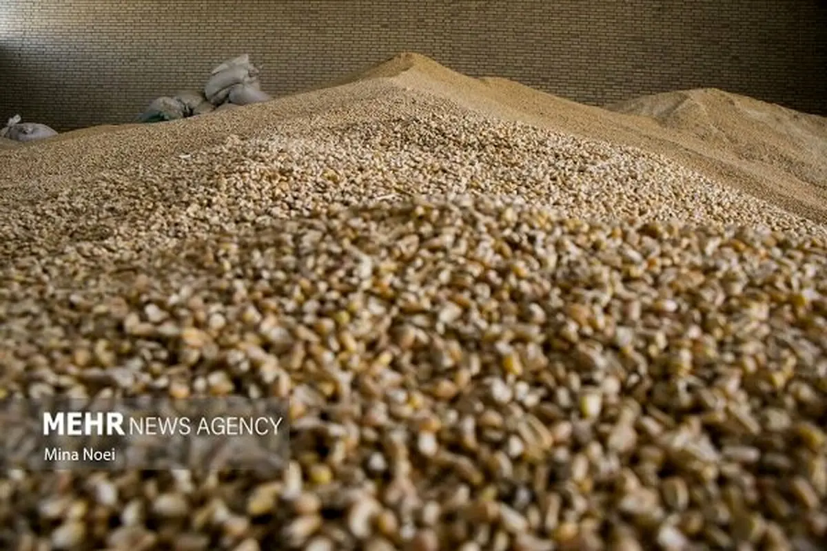 بمب خبری: تحقیق و تفحص، شریان فساد در زنجیره تامین نهاده‌ها را قطع و راه اصلاحات را باز می‌کند!