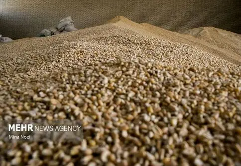 بمب خبری: تحقیق و تفحص، شریان فساد در زنجیره تامین نهاده‌ها را قطع و راه اصلاحات را باز می‌کند!