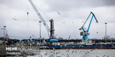 زیرمیزی گمرک باز شد: خودروهای توقیفی در راه بازار!