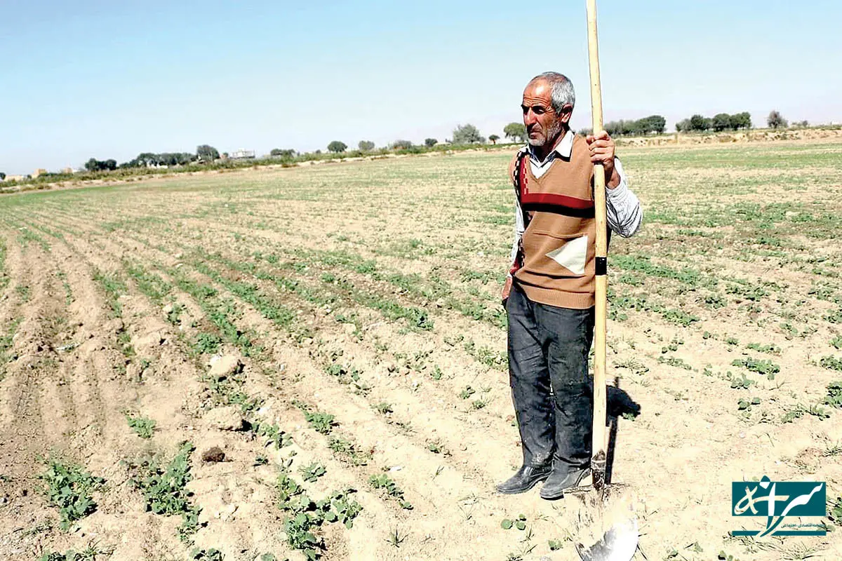 دخالت‌های سیاسی در اقتصاد کشاورزی اهواز