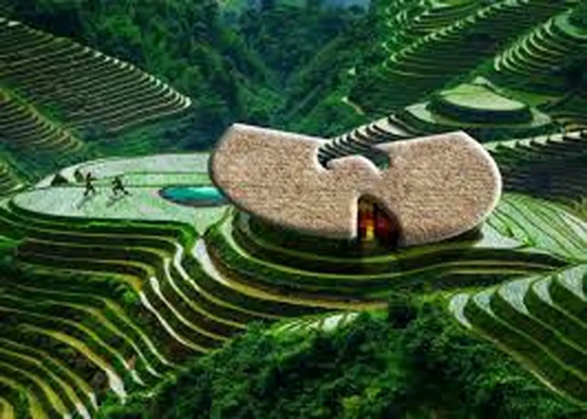 با برنج برق تولید کنید!