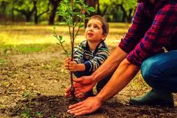 انقلابی در پاییز: ۷ درخت میوه که با کاشت آنها ثروتمند می‌شوید!